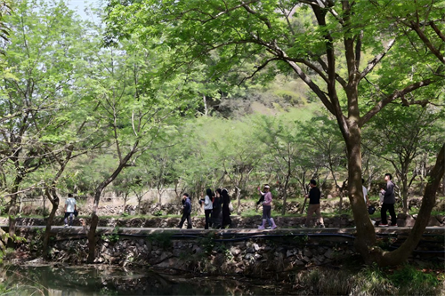 Beatus Team aedificationem in Zhong Yandang Mountain
